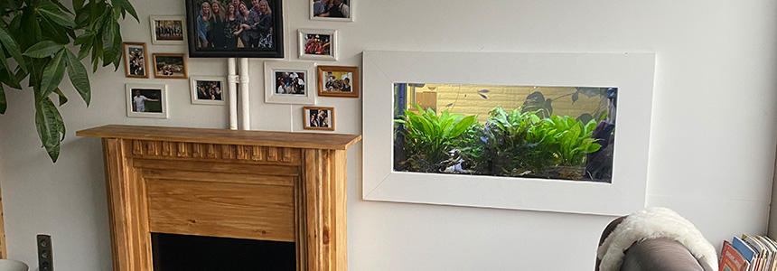 Gezelschapsaquarium in een rusthuis