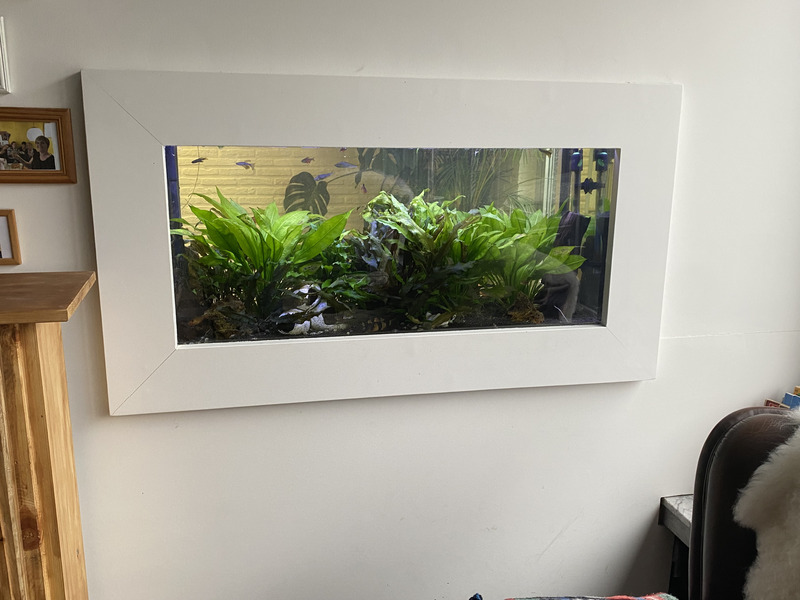 Afgewerkt gezelschapsaquarium