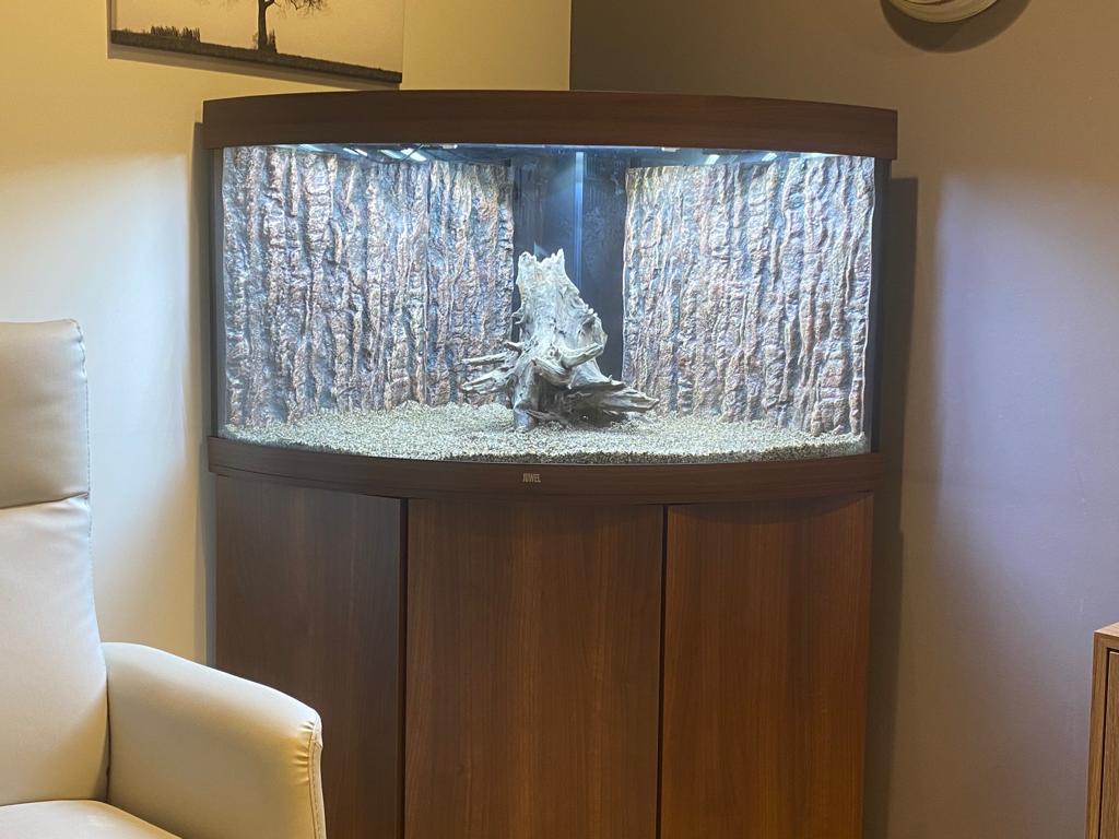 Installatie gezelschapsaquarium in leefruimte