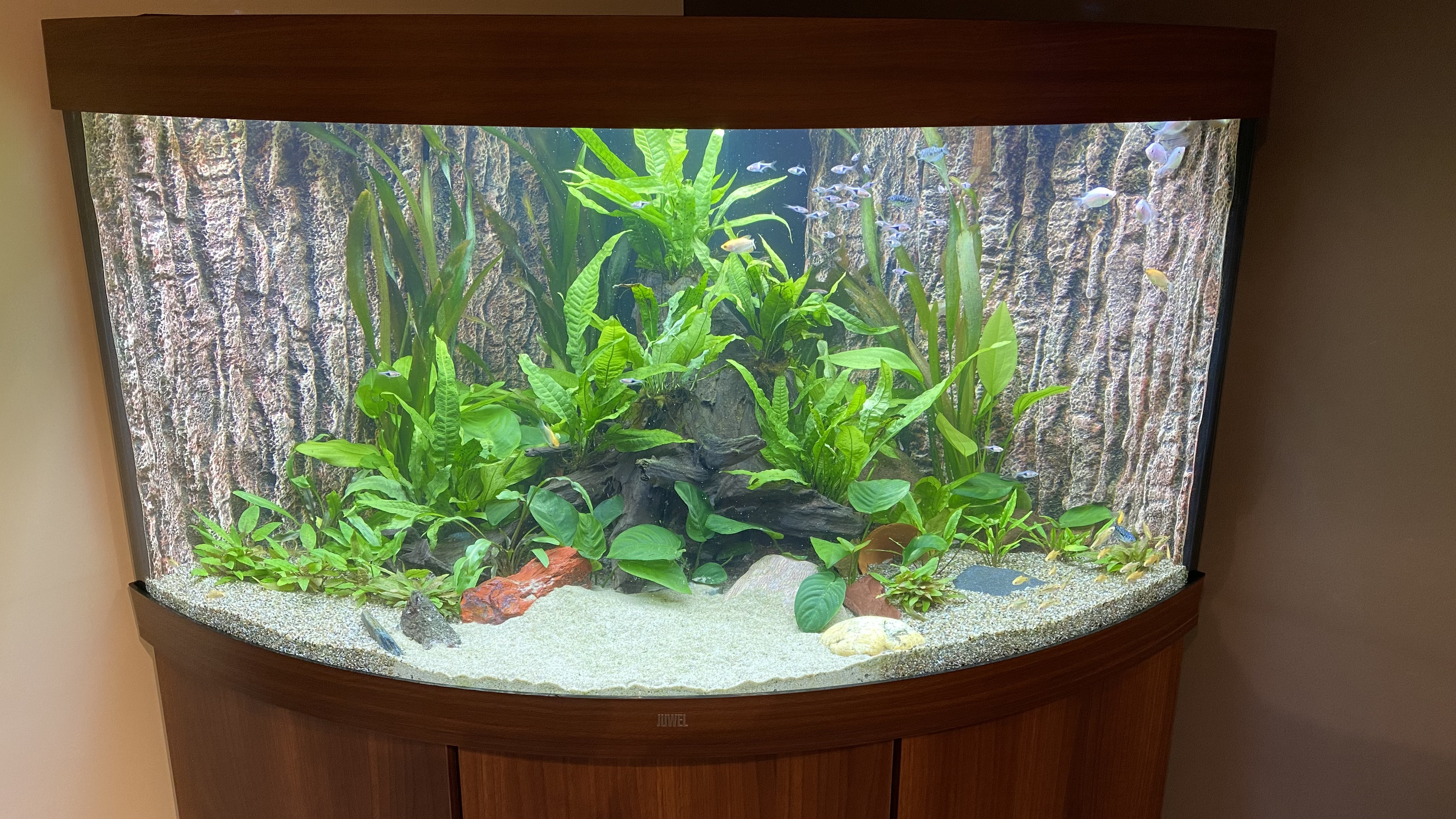 Installatie gezelschapsaquarium in leefruimte